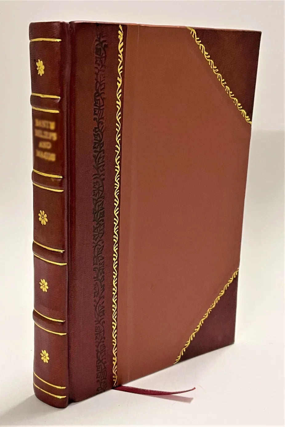 The senior fellow, by the author of 'Sizequires and parsons'. [Leather Bound]