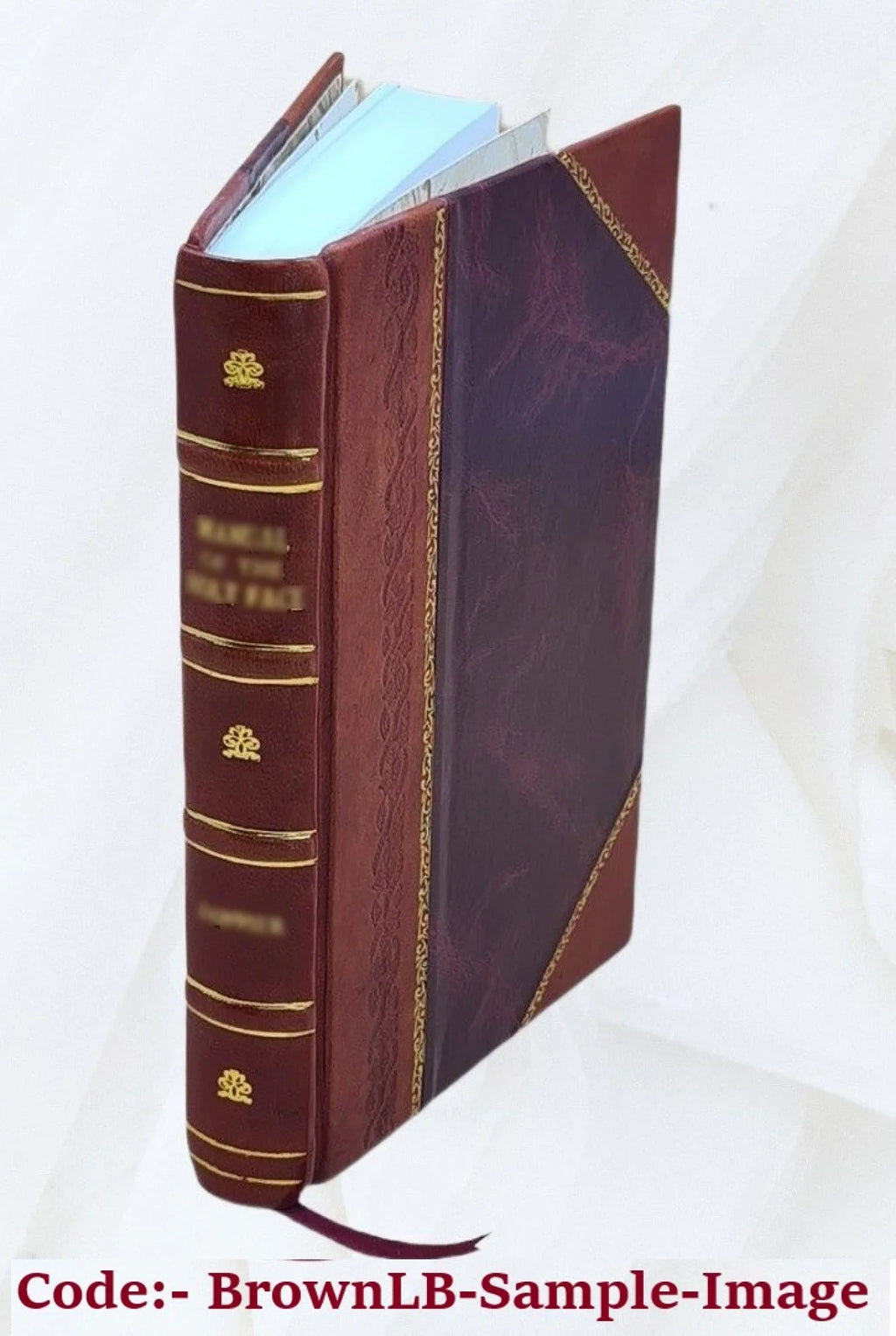The bi-lateral cypher of Sizeir Francis Bacon / discovered in his works and deciphered by Mrs. Elizabeth Wells Gallup. 1901 [Leather Bound]