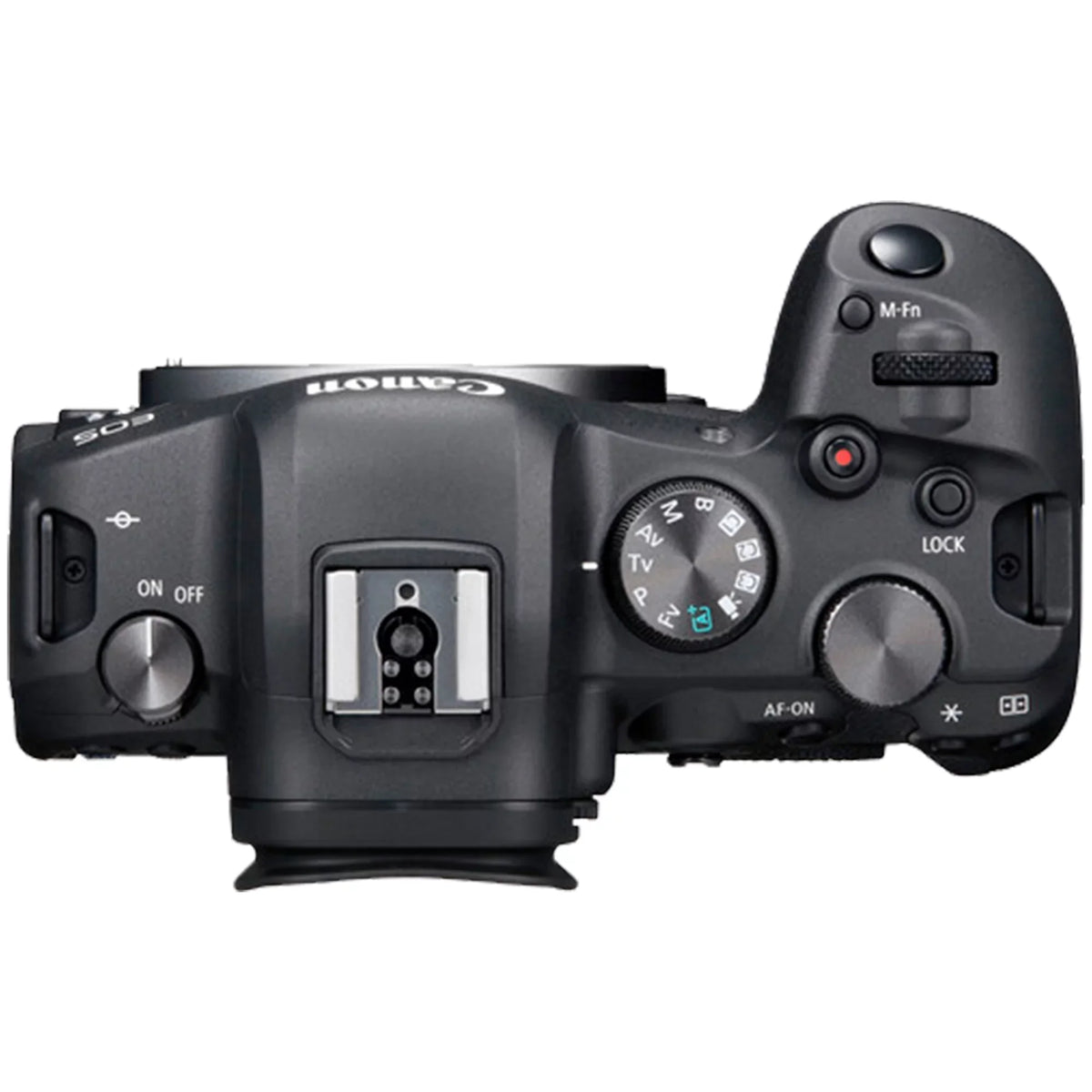Canon EOSize R6 Mirrorless Digital Camera (Body Only) with EF Mount Adapter + 64GB SizeanDisk + Case + ZeeTech Accessory