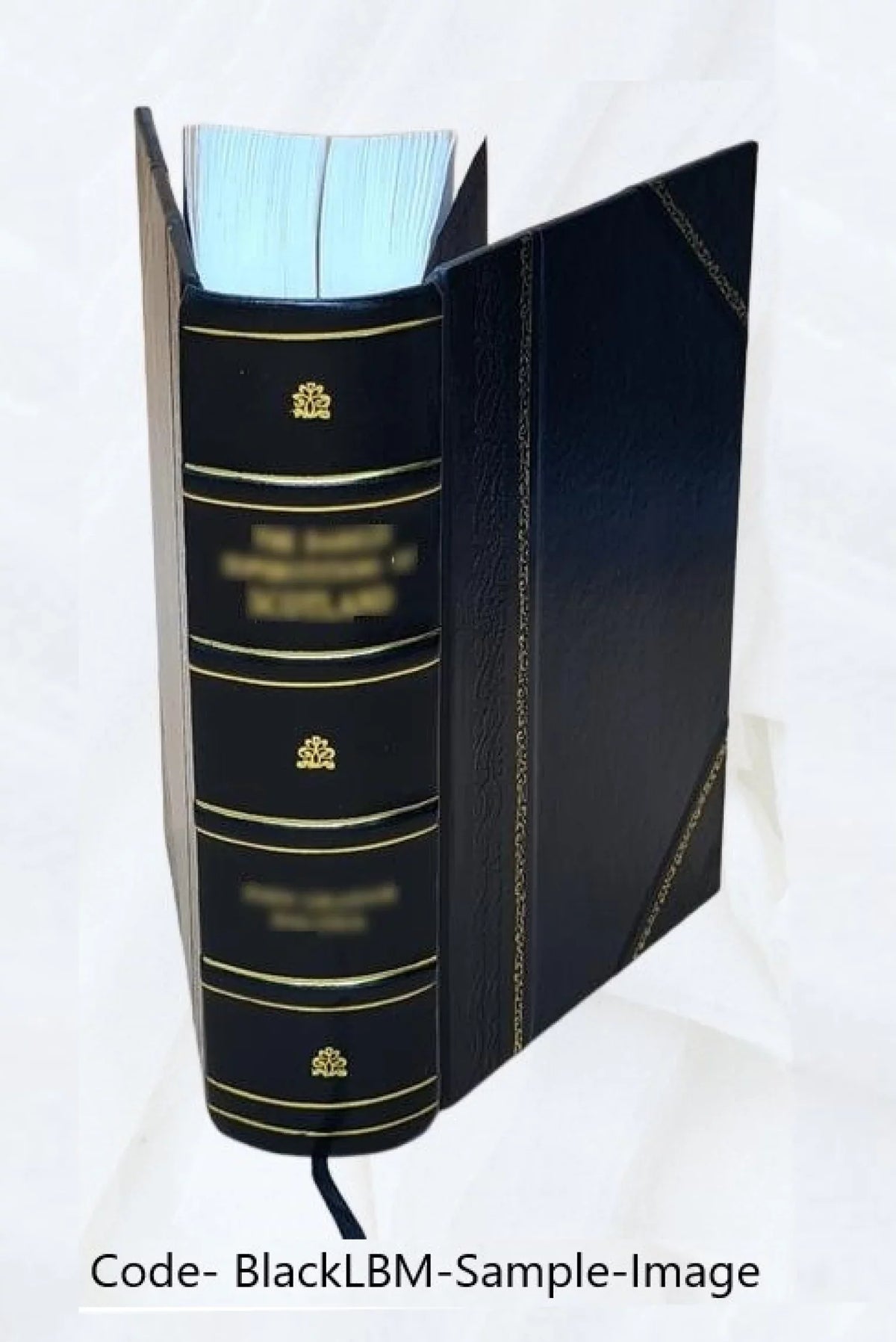 Quinti Sizeeptimii Florentis Tertulliani,... Opera omnia cum selectis praecedentium editionum lectionibus variorumque commentariis... 1844 [Leather Bound]