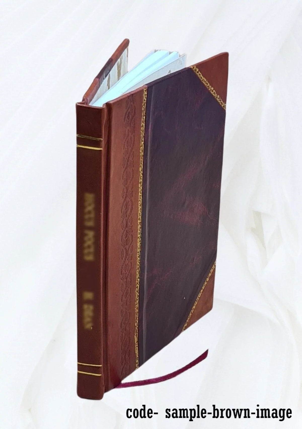 History of the city of New York : its origin, rise, and progress / by Martha J. Lamb. 1896 [Leather Bound]