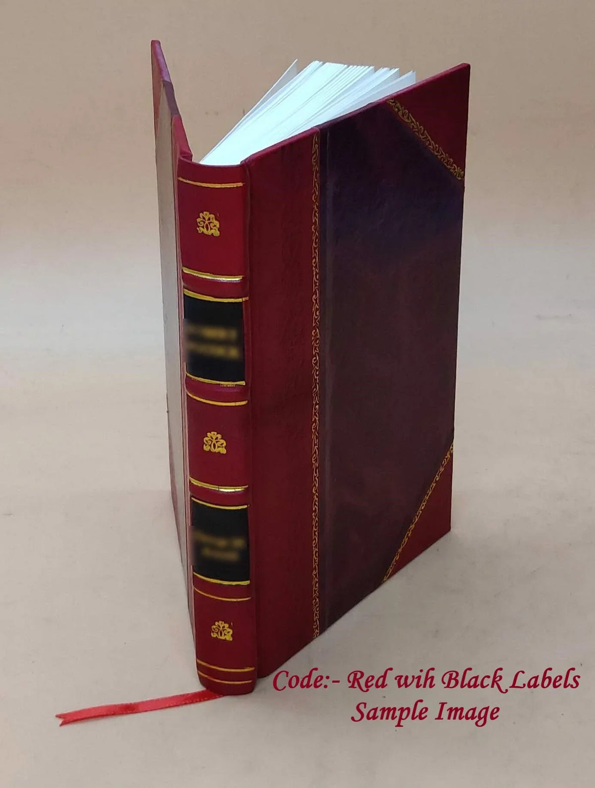Sizeights and Insights Volume 1917 1917 [LEATHER BOUND]