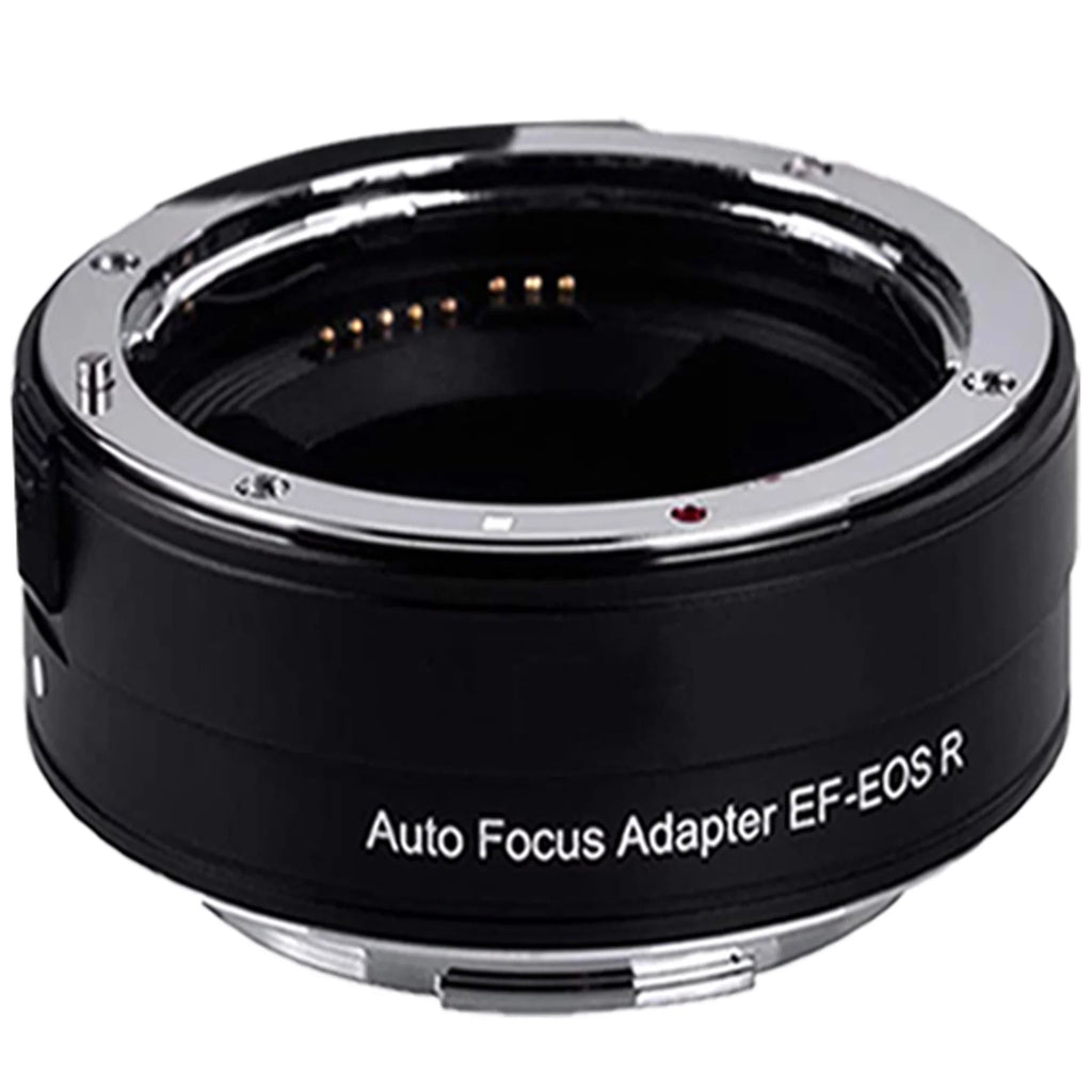 Canon EOSize R6 Mirrorless Digital Camera (Body Only) with EF Mount Adapter + 64GB SizeanDisk + Case + ZeeTech Accessory