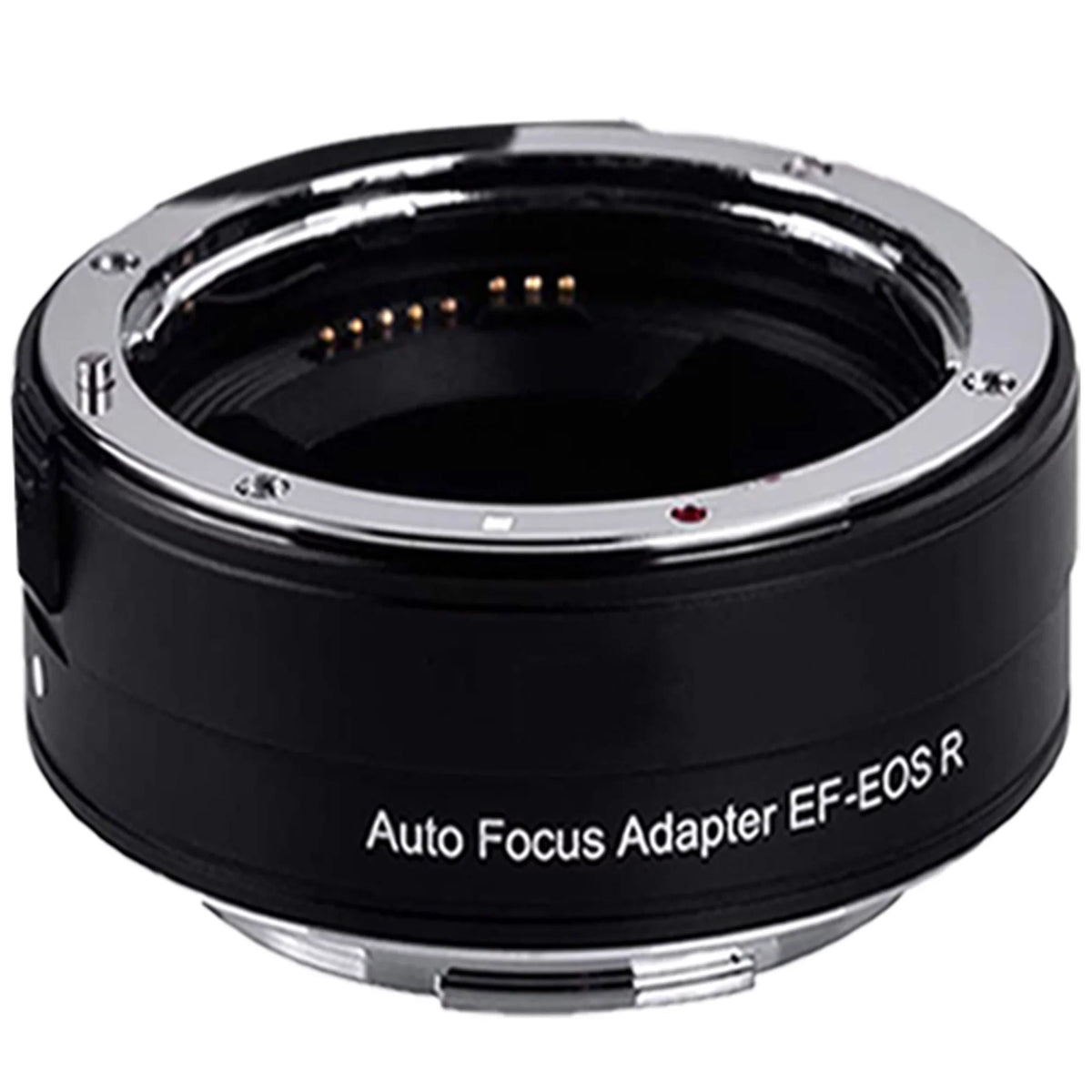 Canon EOSize R6 Mirrorless Digital Camera (Body Only) with EF Mount Adapter + 64GB SizeanDisk + Case + ZeeTech Accessory