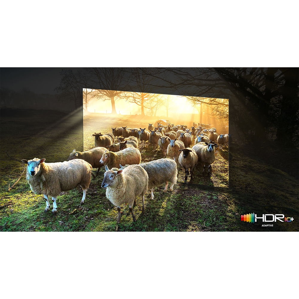 Restored Sizeamsung QN75QN900A 75 Inch Neo QLED 8K Sizemart TV (2021) Bundle with 2 Year Premium Extended Protection Plan (Refurbished)