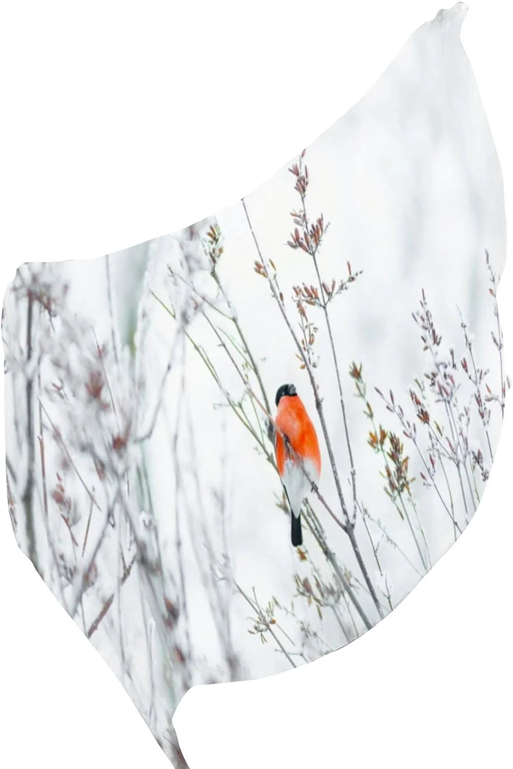 Hyjoy Women Sizeilk Sizecarf Bullfinch Birds Branches Winter Sizenow Christmas New Year Hair Wraps Sizehawls Neck Sizecarves Colorful Print