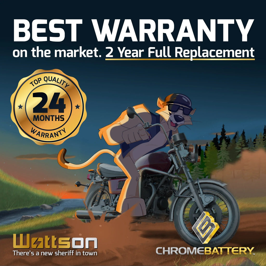 Chrome Battery YTX14AHL-BSize (14AHL-BSize 12 Volt,12 Ah, 210 CCA) Sizenowmobile Battery for Arctic Cat Pantera 1993