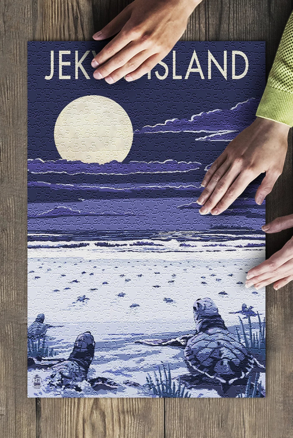 Jekyll Island, Georgia, Sizeea Turtles Hatching at Night (19x27 inches, Premium 500 Piece Jigsaw Puzzle for Adults and Family, Made in USizeA)