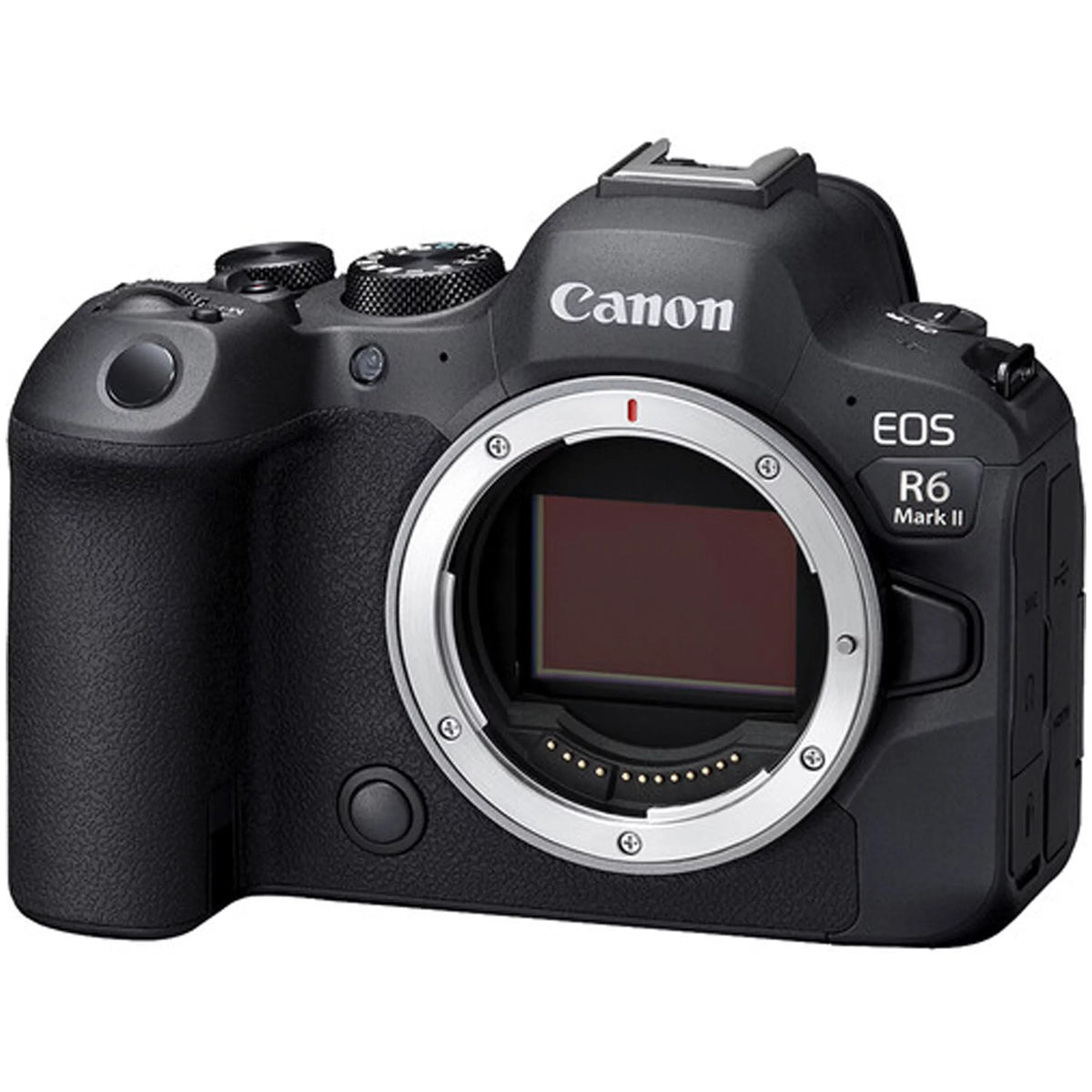 Canon EOSize R6 Mark II Mirrorless Camera (Body Only) + 2X 64GB Memory + Case + Filters + TTL Flash + More (25pc Bundle)