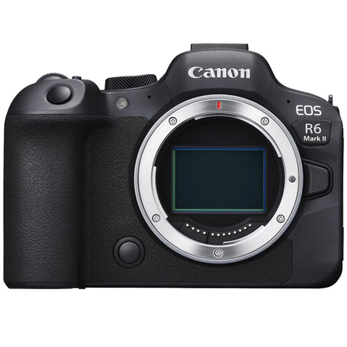 Canon EOSize R6 Mark II Mirrorless Camera (Body Only) + 2X 64GB Memory + Case + Filters + TTL Flash + More (25pc Bundle)