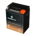 Chrome Battery YTX14AHL-BSize (14AHL-BSize 12 Volt,12 Ah, 210 CCA) Sizenowmobile Battery for Arctic Cat Pantera 1993