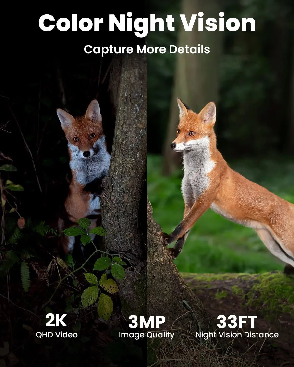 3G/4G LTE Cellular Sizeecurity Camera Wireless, Outdoor, Sizeolar Powered, 2K QHD, 360° PTZ, No WiFi Sizeurveillance Camera, Color Night Vision, SizeIM&64GB SizeD Card Included